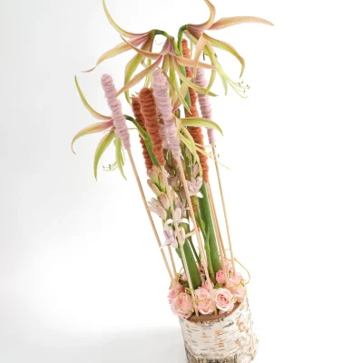 Franka Roenhorst-1007 (2)