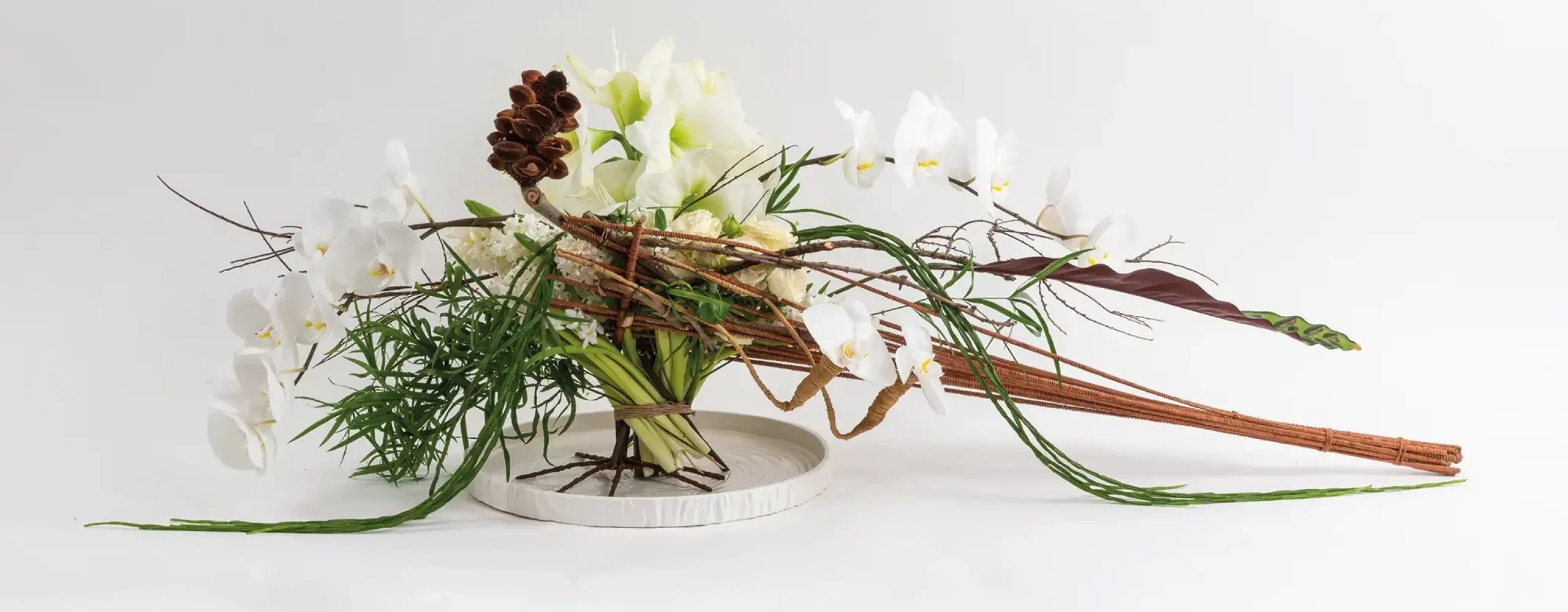 Frédéric Dupré-1013