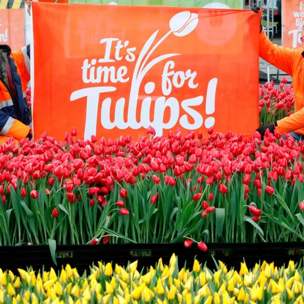 J6RbzCVYxFyeETcTpznOKjTOakEwfuTOOEKH1l31