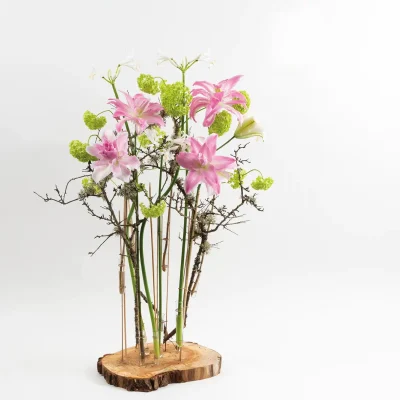 Lizzie Newcombe-1001 (1)