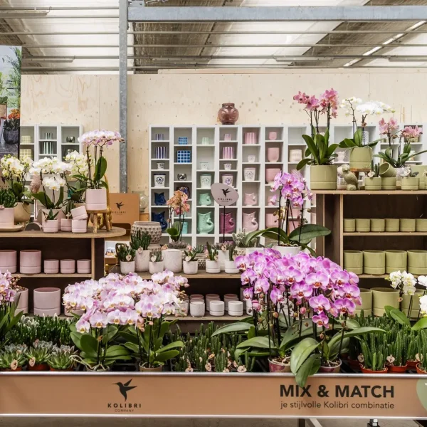 Presentatie-OK-Plant-tijdens-OID-2024