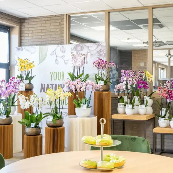 Presentatieruimte-Stolk-Flora-tijdens-OID-2024-900x600