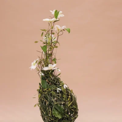 RM-DPK-01-Max van der Sluis-14-001