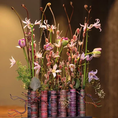 RM-DPK-Erika-03-001-bew