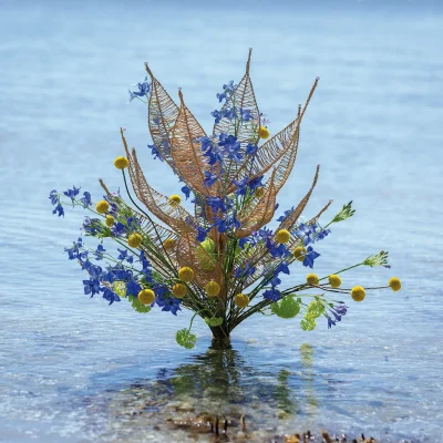 RM-DPK-Ilona Oostenveld-03-002