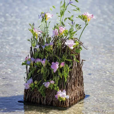 RM-DPK-Ilona Oostenveld-04-003