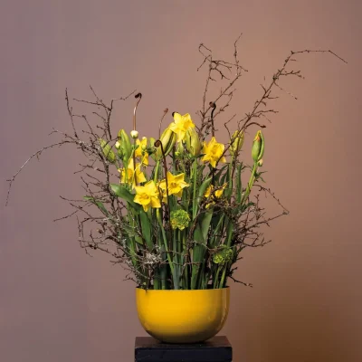 RM-DPK-Meesterlijk Geschikt-03-001