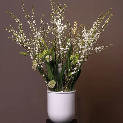 RM-DPK-Meesterlijk Geschikt-05-001