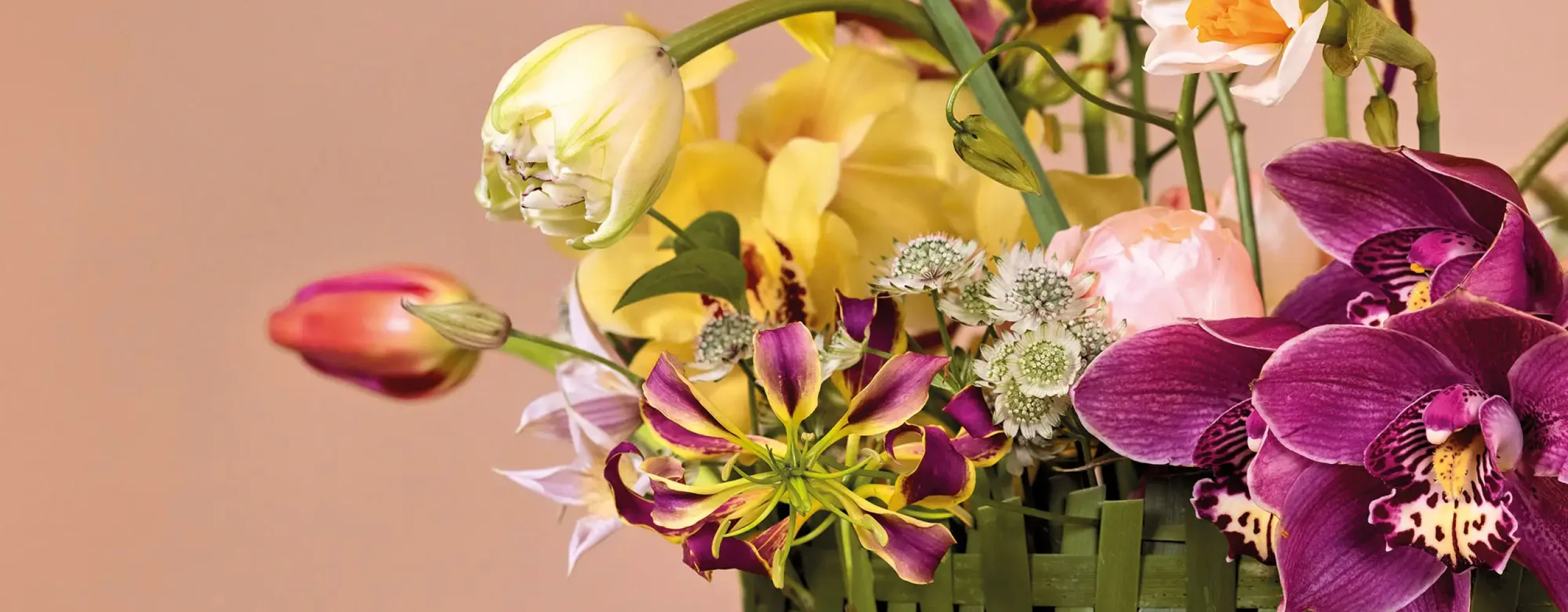 RM-Max van der Sluis-02-013_Radiant