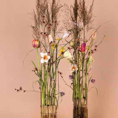 RM-Max van der Sluis-04-016_Radiant