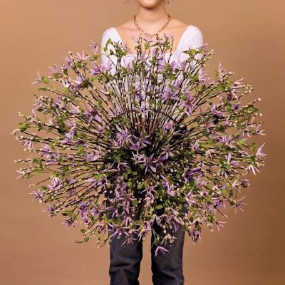 RM-Max van der Sluis-08-017_Radiant