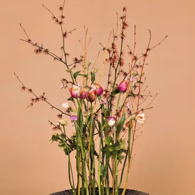 RM-Max van der Sluis-11-001_Radiant