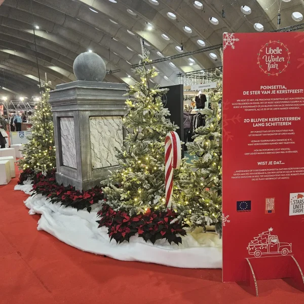 Libelle winter fairBelgiemechelenkerstster