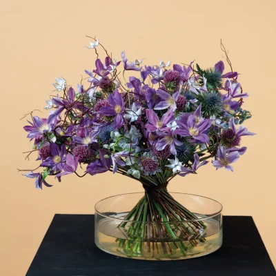 Tiffany van Lenten-808