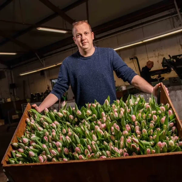 b18a6d24-f034-4c57-951b-603d66c5f8f2 kopie