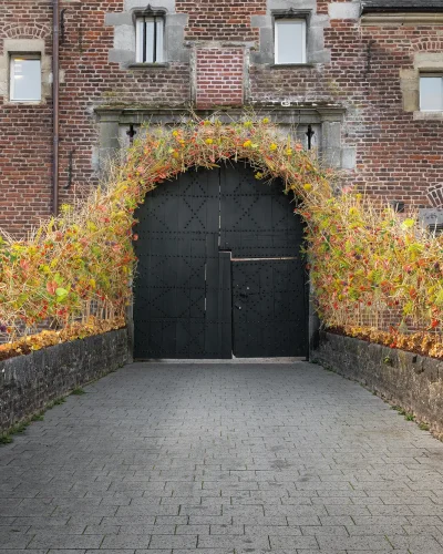 feerie_florale_2025-0104