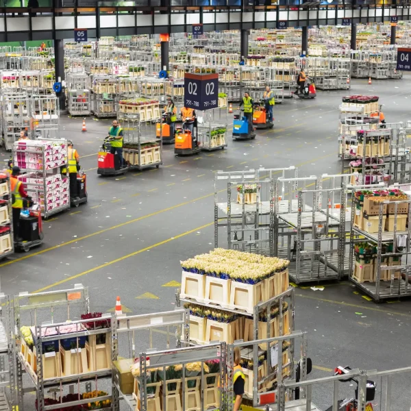 Aalsmeer,,The,Netherlands,,September,22,,2021;,Carts,With,Flowers,At